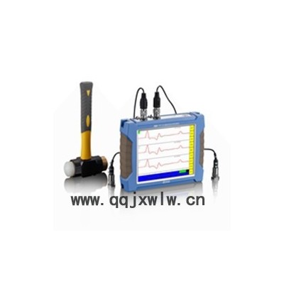 RSM-PRT(M) 基樁低應(yīng)變檢測(cè)儀 雙通道動(dòng)測(cè)儀 瞬時(shí)浮點(diǎn)無(wú)損檢測(cè)